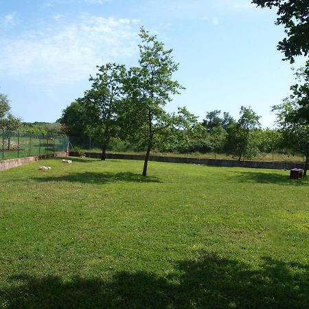 Holiday Home Rosa Gedići Εξωτερικό φωτογραφία